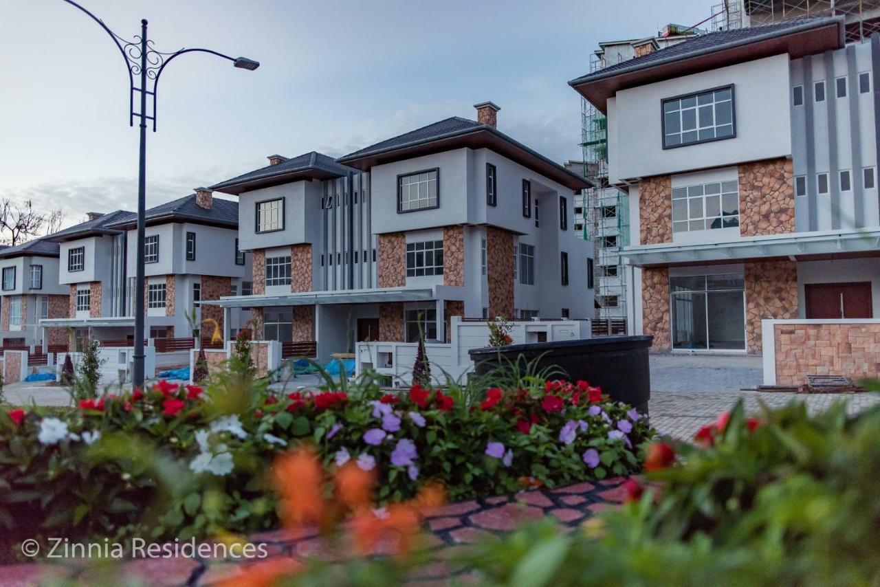 Vila Standard